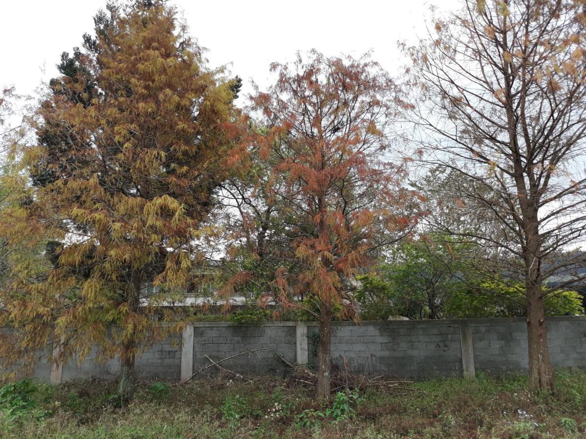 63Inn庭園民宿 Pinghe Екстер'єр фото